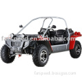 300cc buggy with EEC